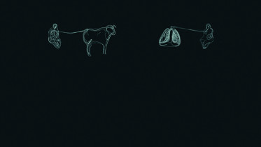 Joanna Dechnik / dyplom licencjacki / czerwiec 2019