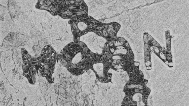 Sylwia Dybich / dyplom magisterski / czerwiec 2019