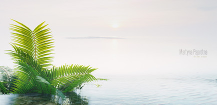 Martyna Paprotna / dyplom licencjacki / czerwiec 2019