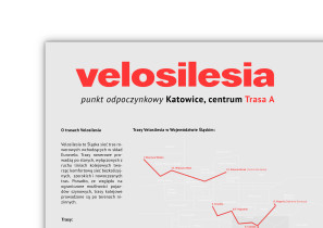 Maja Wieczorek / dyplom licencjacki / czerwiec 2019