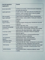 Marta Uszakow, Wielka piątka (maska słonia na pikietę w obronie wymierających gatunków zwierząt)