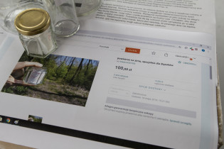 Hanna Pydynowska, Powietrze na zimę