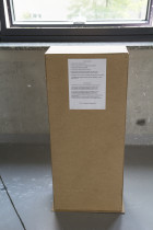 Patrycja Chojnacka, Godzina na piedestale = 1 zł