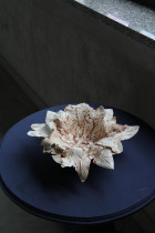 Adrianna Faba, Człowiek Naczynie Pełne 