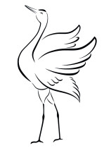 interpretacja graficzna obiektu naturalnego / Zuzanna Sekta / 2020