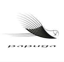 Interpretacja graficzna obiektu naturalnego / Franciszek Rząsa