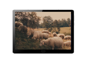 Beskidzki Dom Zielin