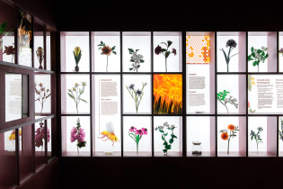 Centrum edukacji o bior&oacute;żnorodności Apilandia