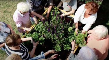 Julianna Zych, „Materials supporting occupational therapy in seniors - social garden”