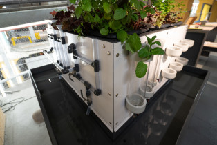 Magdalena Michana-Czyrwik, „Sensory garden for children with disabilities”