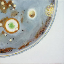 Urszula Cieślik (III rok/GW), Cuda natury II 3, olej na płótnie, 30 x 30 cm, 2020