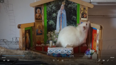 Jan Kukułka " To nie jest. To jest. Film o Magdalenie Kieszniewskiej", kadr z filmu