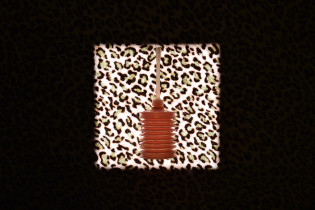 Kinga Nycz "Strategie przetrwania", cykl fotografii