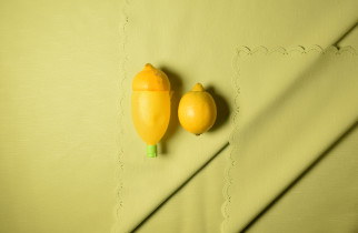 Kinga Nycz "Strategie przetrwania", cykl fotografii