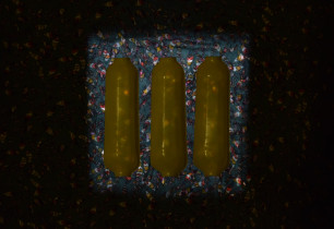 Kinga Nycz "Strategie przetrwania", cykl fotografii