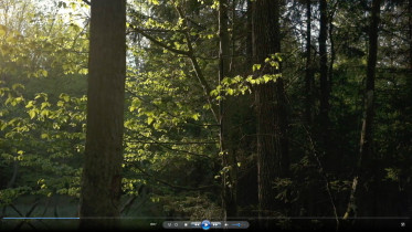 Magdalena Kuczko "Leśne", kadr z filmu