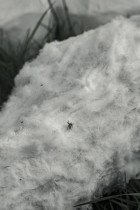 Denisa Vanova, temat: Siła detalu