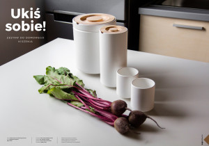 Magdalena Przybycień, Zestaw do domowego kiszenia.  2018