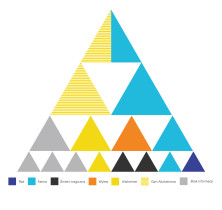 Genogram chorób w rodzinie - Zuzanna Scechura