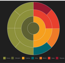 Genogram pochodzenia członków rodziny - Zuzanna Scechura