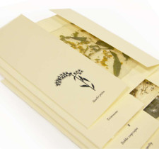 Ilustracja w kontekście użytkowym - Karolina Kruszewska