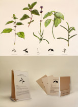 Ilustracja w kontekście użytkowym - Julia Magerova