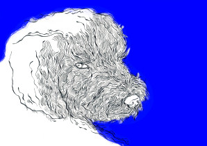 magdalena kilarska | nie patrz na mnie takim wzrokiem I