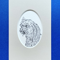 magdalena kilarska | dog portrait I