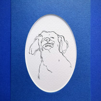 magdalena kilarska | dog portrait I