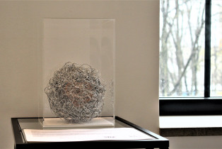 Daria Kowalska – czułe struny