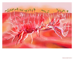 WYRÓŻNIENIE JURY & NAGRODA JURY DZIECIĘCEGO: Kalina Brataniec – Organika