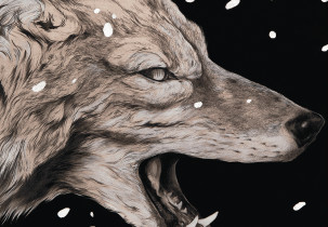 II NAGRODA & NAGRODA JURY DZIECIĘCEGO: Martyna Kostrzycka – How Coyote Brought Fire To The People