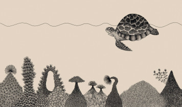 III NAGRODA: Sylwia Krachulec – Pozory mylą