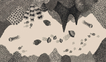 III NAGRODA: Sylwia Krachulec – Pozory mylą