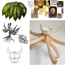 Analiza morfologiczna wybranej formy naturalnej - analiza rysunkowa, synteza graficza projekt formy przestrzennej