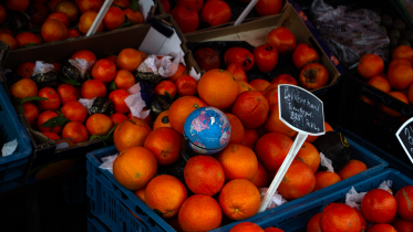 Angelika Czubasiewicz