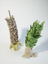 Eliza Kołodziej, Czułość