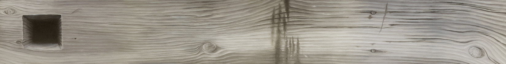 Dawid Szydło (II rok/M) 