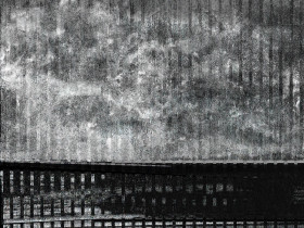 Nieobecność 2021, Justyna Wolska