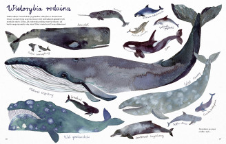 Monika Smetaniuk - Projektowanie graficzne