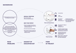"Pose" - zestaw do edukacji seksualnej dla osób niewidomych 