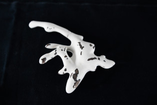 Anna Ostrzołek, Kości Księżyca, znalezione korzenie oblepione glinką, obiekty do dotykania