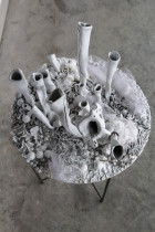 Magdalena Ferdyn, Rafa