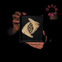  Nagroda Prezydenta Miasta Katowice –  Marianna Lamenta, ASP Łódź