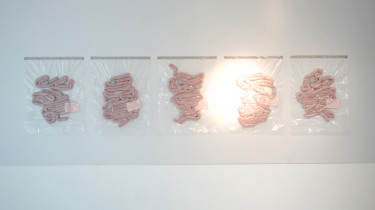 _odgazowanie_potworna_wystawa_01