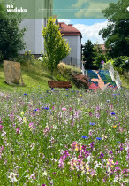 Dagmara Szmal „Zieleniec ASP – projekt ogrodu uwzględniającego potrzeby społeczności akademickiej."
