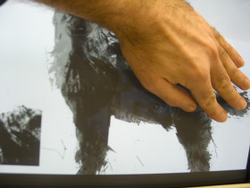 Adam Wójcicki, 2008