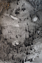 Agnieszka Gorgoń, 2016