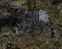 Dagmara Cieślica, Import, druk cyfrowy, 2013