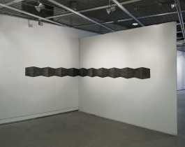 exterior (fragment instalacji graficznej), 2009